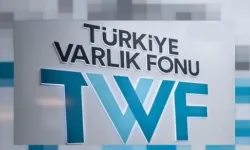 Hazine'ye Ait Hisseler Türkiye Varlık Fonuna Aktarıldı