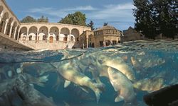 Şanlıurfa’nın Kutsalı: Balıklı Göl