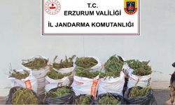 Jandarmadan Dev Operasyon: 63 Zehir Taciri Tutuklandı