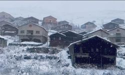 Bayburt Henege Yaylası'nda Kar Yağışı Besicileri Zorladı