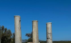 Patara'nın yollarında inek ve koyun zararı