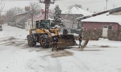 Bingöl'de 67 köy yolu ulaşıma kapandı; 2 ilçede eğitime kar engeli (2)