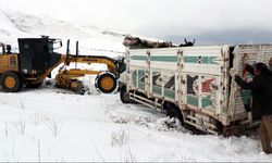 Mezrada mahsur kalan hayvanlar kurtarıldı