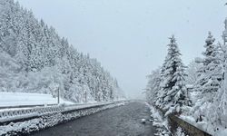 Uzungöl ve Ayder'de kar güzelliği