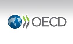 OECD, küresel ekonominin bu yıl yüzde 3,2 ve Türkiye ekonomisinin yüzde 3,5 büyümesini bekliyor