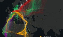 Türkiye, Göçmen Kuşlar İçin Kritik Bir Nokta