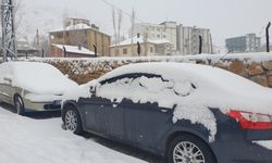 Van'da kar yağışı; Bahçesaray kara yolu trafiğe kapatıldı