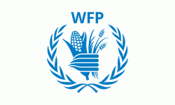 WFP, İsrail'in Gazze'deki konvoylarından birine düzenlediği saldırıyı kınadı