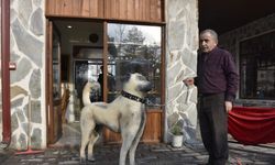 Ahşap oyma ustasından 'Kangal köpeği' heykeli