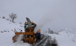 Bingöl'de 99 köy yolu kardan ulaşıma kapandı (4)