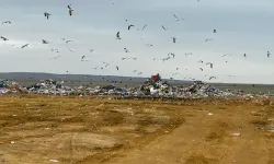 Ankara Büyükşehir Belediyesi’nin çevre ihlaline milyonluk ceza!