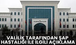 Elazığ Valiliği'nden şap hastalığı açıklaması