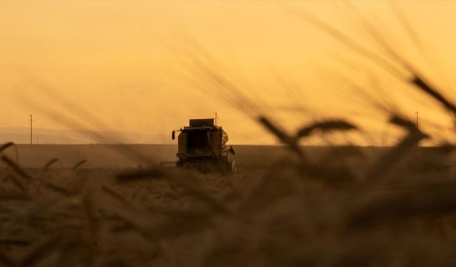 Organize tarım bölgeleri için yatırım rehberi hazırlandı