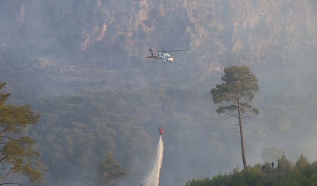 Muğla'nın 2 ilçesinde orman yangınlarına müdahale sürüyor