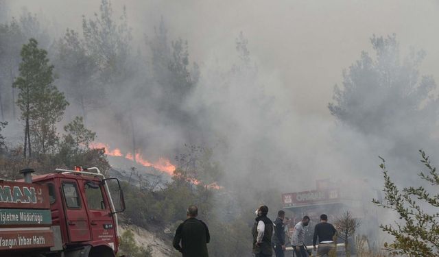 Bursa'daki orman yangını Balıkesir’e sıçradı