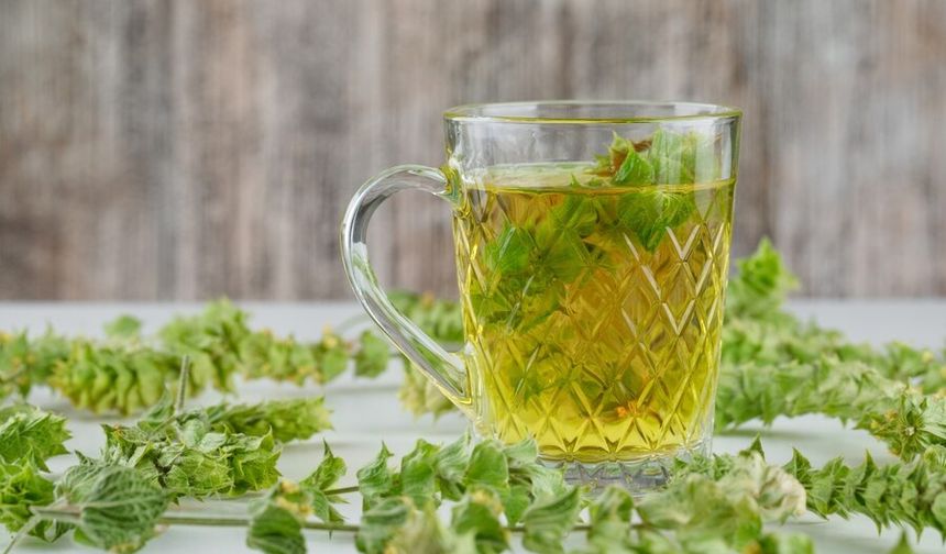 Moringa Çayının Faydaları Nelerdir?