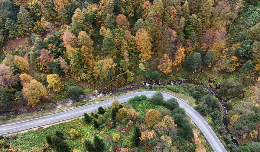 Doğu Karadeniz’de Sonbaharın Renk Cümbüşü