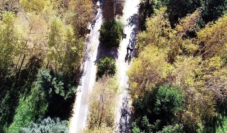 Erzurum sonbaharda açık hava stüdyosuna dönüştü