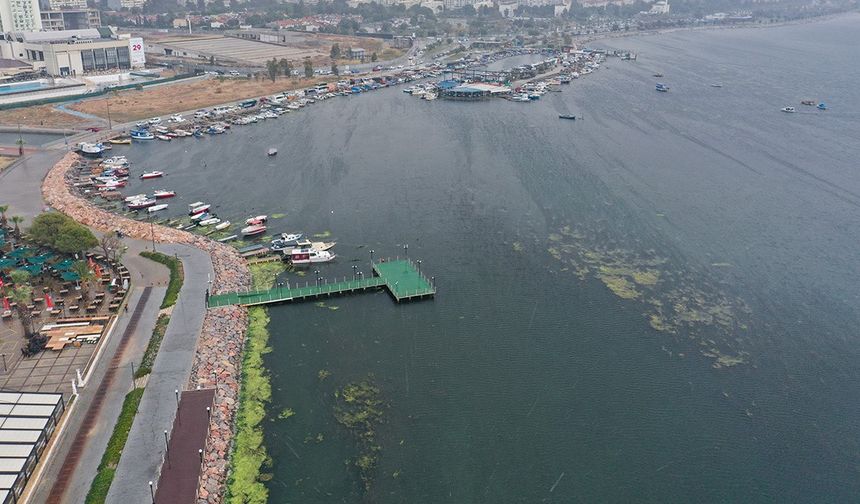 İzmir Körfezi'ne yönelik "İzmir İçin Nefes" projesi tanıtıldı