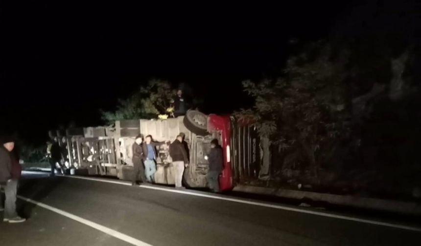 Ordu’da Talaş Yüklü TIR Devrildi: Şoför Hayatını Kaybetti