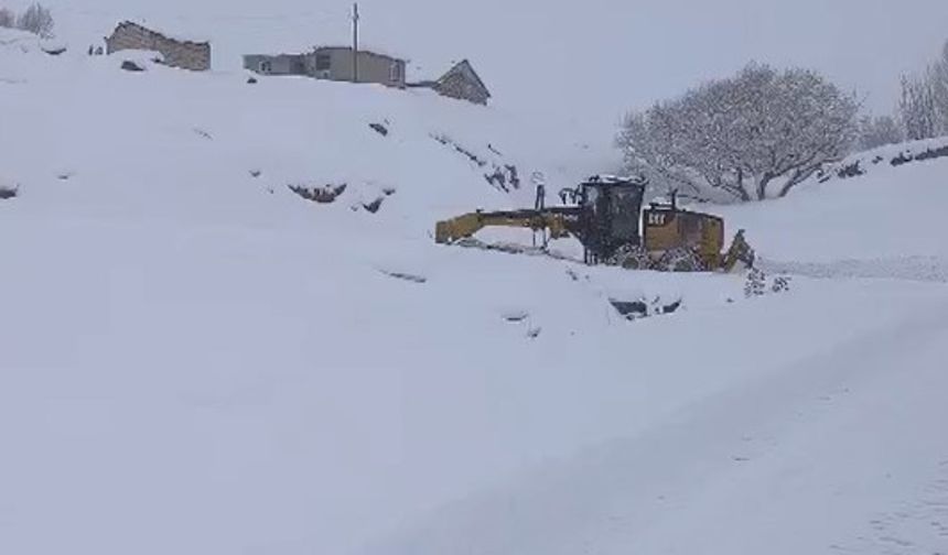 Van'da kapalı 468 yerleşim yolu açıldı; Hakkari'de kar kalınlığı 1,5 metreyi buldu