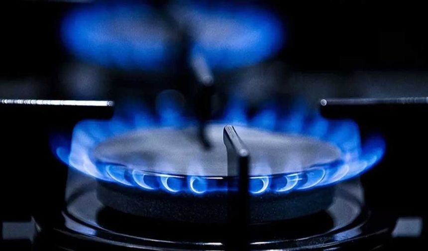 Türkiye'nin doğal gaz ağı genişliyor: 913 yerleşim yeri